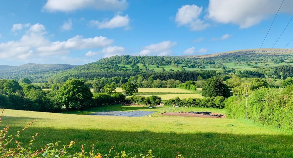 green grass field near green trees and mountain during daytime