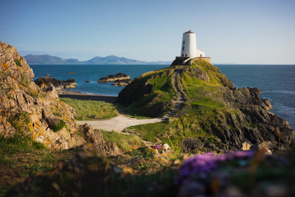 white lighthouse on green grass field near body of water during daytime