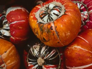 pile of pumpkin