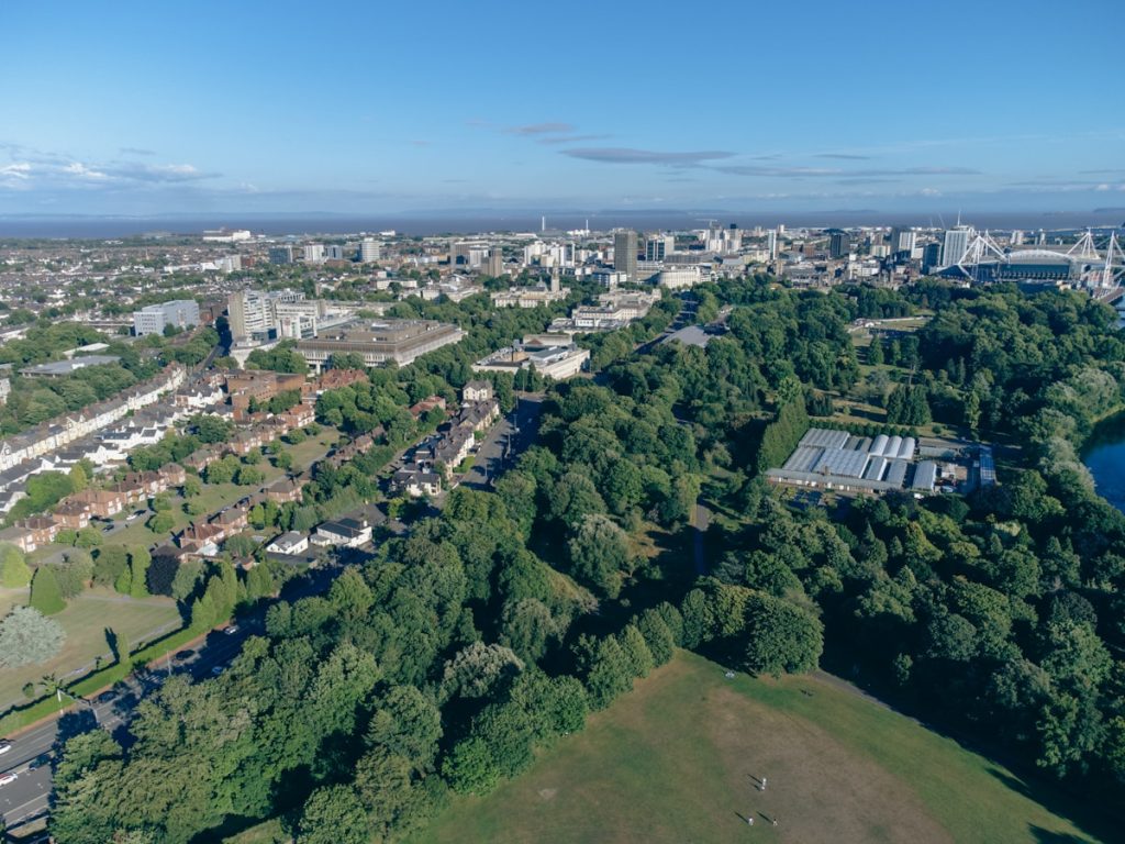 a city with many trees